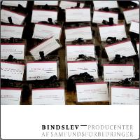 bindslev